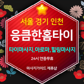 응큼한홈타이