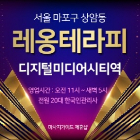 마포 레옹테라피