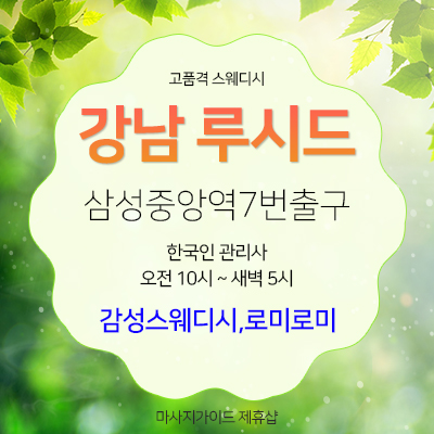 강남 루시드