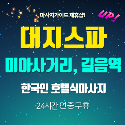 대지스파